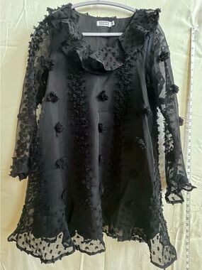 Porter Collective Black Ruffled Tunic with Sheer Trim, Decorative Floral Details